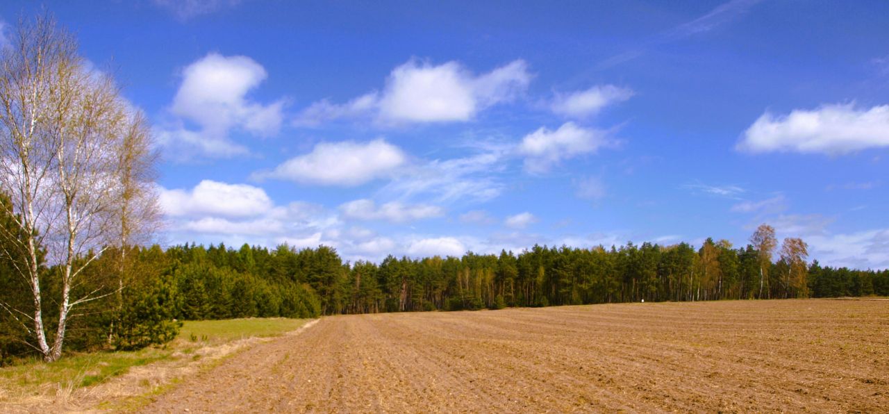 Działka rekreacyjna Lipy. Zdjęcie 11
