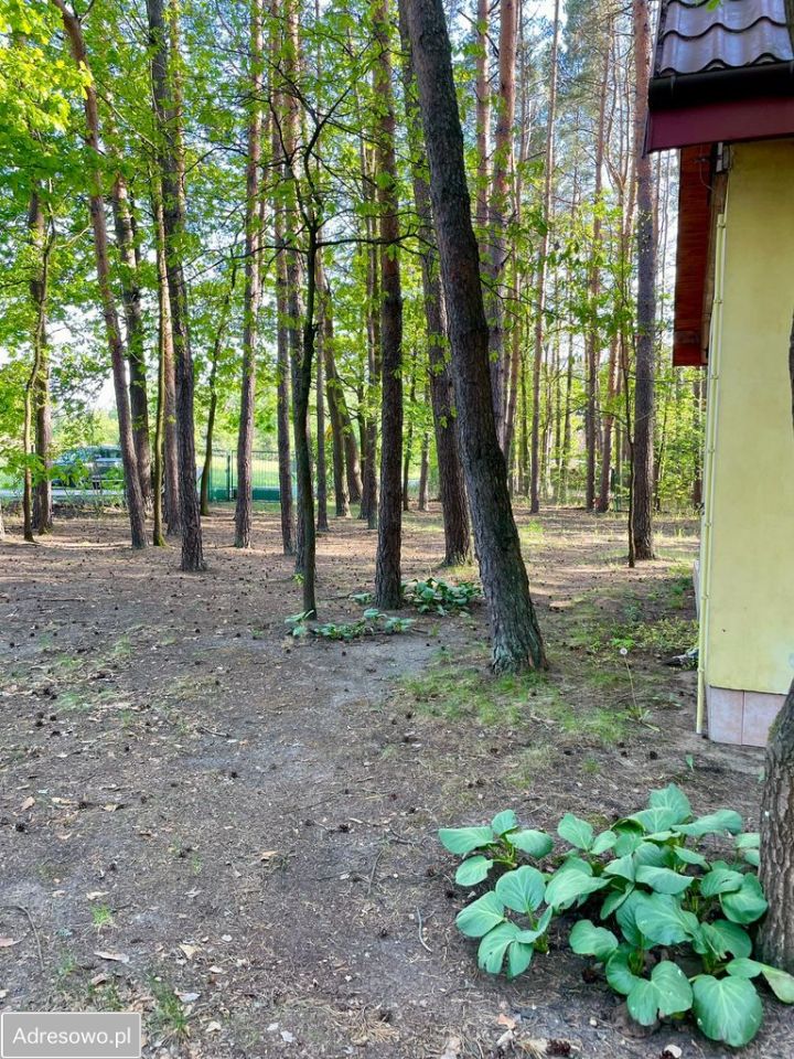Działka Rudnik. Zdjęcie 7