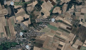 Działka rolna Zucielec