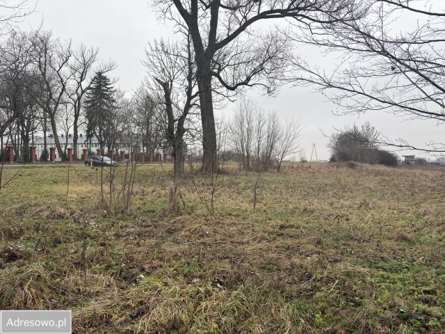 Działka budowlana Siennica, ul. gen. Władysława Sikorskiego. Zdjęcie 1