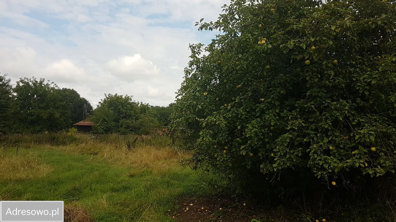 Działka inwestycyjna Wrocław Krzyki, ul. Opatowicka. Zdjęcie 3