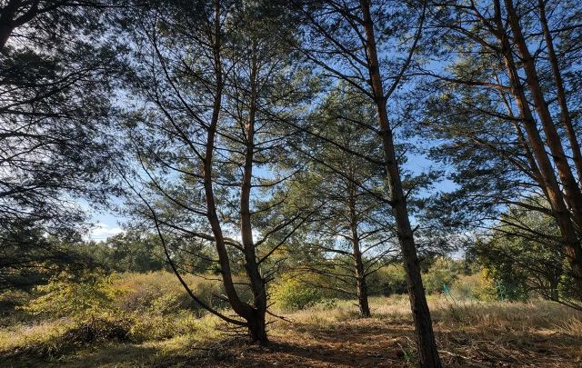 Działka budowlana Łochowice, ul. Łąkowa. Zdjęcie 1