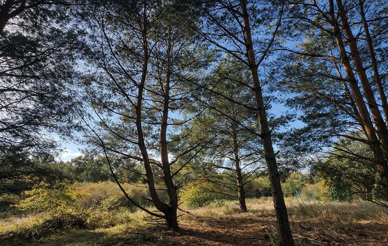 Działka budowlana Łochowice, ul. Łąkowa. Zdjęcie 1