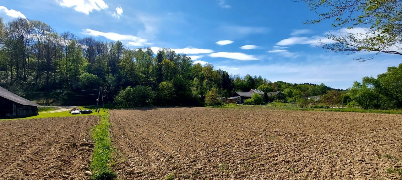 Działka rolna Hłudno. Zdjęcie 7