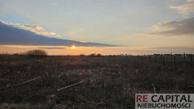 Działka budowlana Zaborówek. Zdjęcie 3