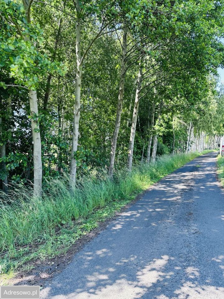 Działka budowlana Huta Palędzka. Zdjęcie 4