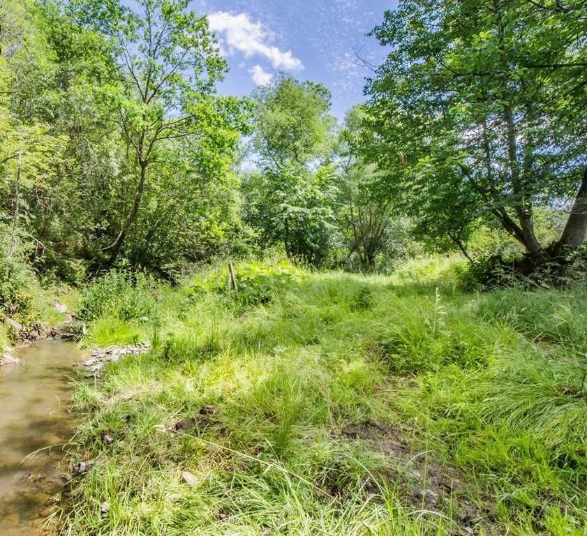 Działka budowlana Skwirtne. Zdjęcie 4