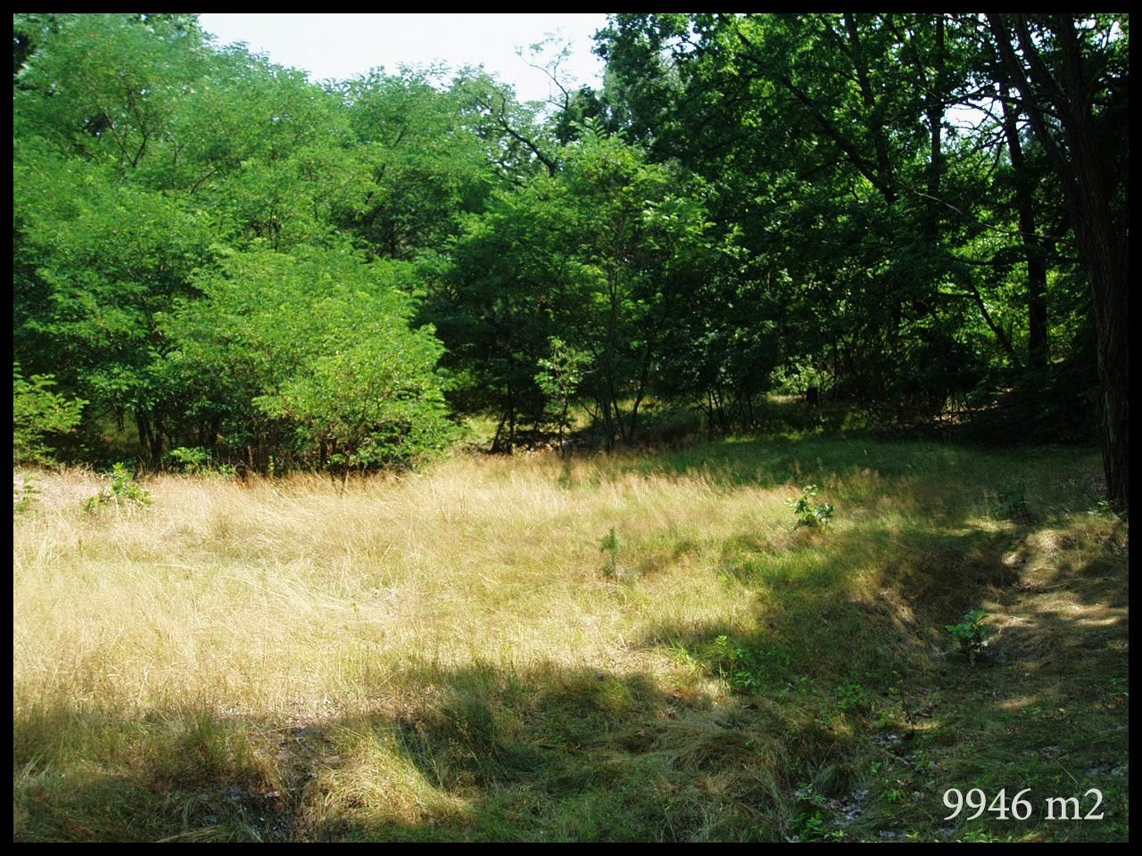 Działka rolna Warszawa Białołęka Dworska, ul. Łąkowa. Zdjęcie 7