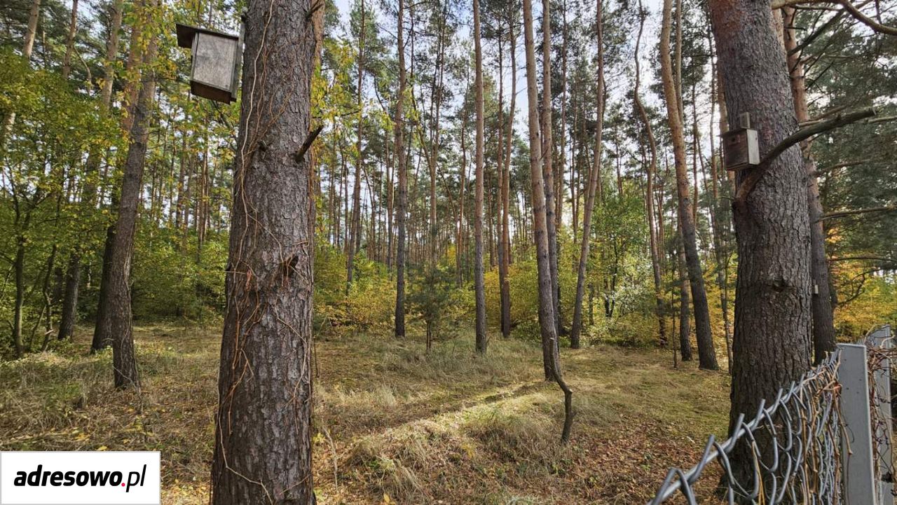 bliźniak, 4 pokoje Dąbrowa. Zdjęcie 2
