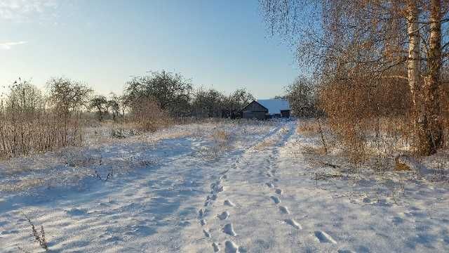 Działka siedliskowa Jagodne. Zdjęcie 2