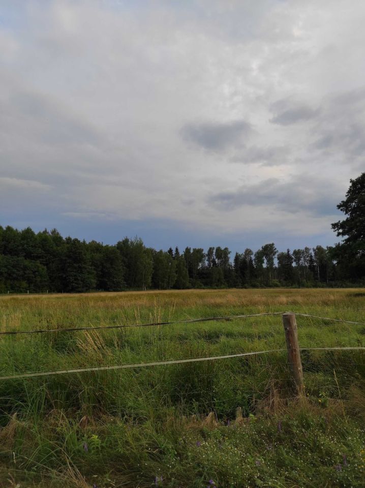 Działka rolno-budowlana Krzywczyce. Zdjęcie 4