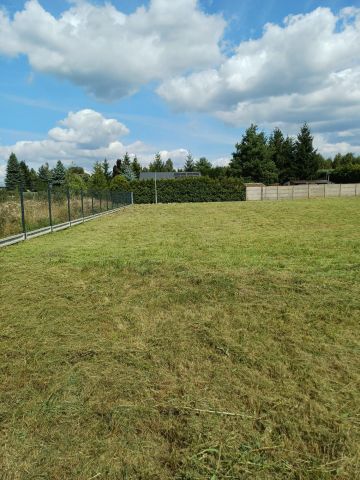 Działka rekreacyjna Mlecze. Zdjęcie 1