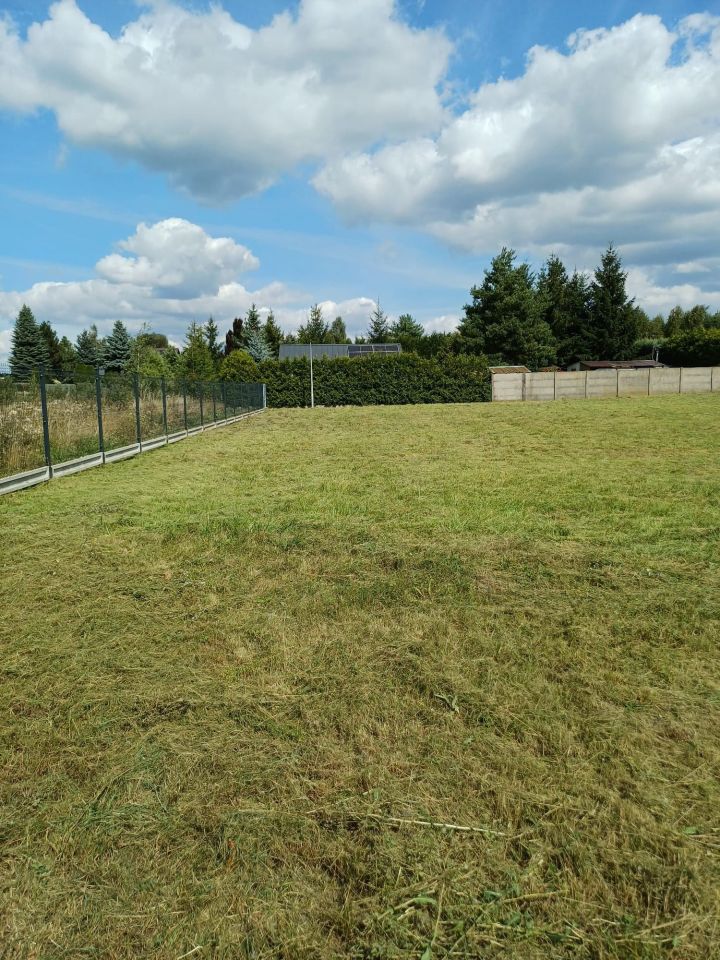 Działka rekreacyjna Mlecze