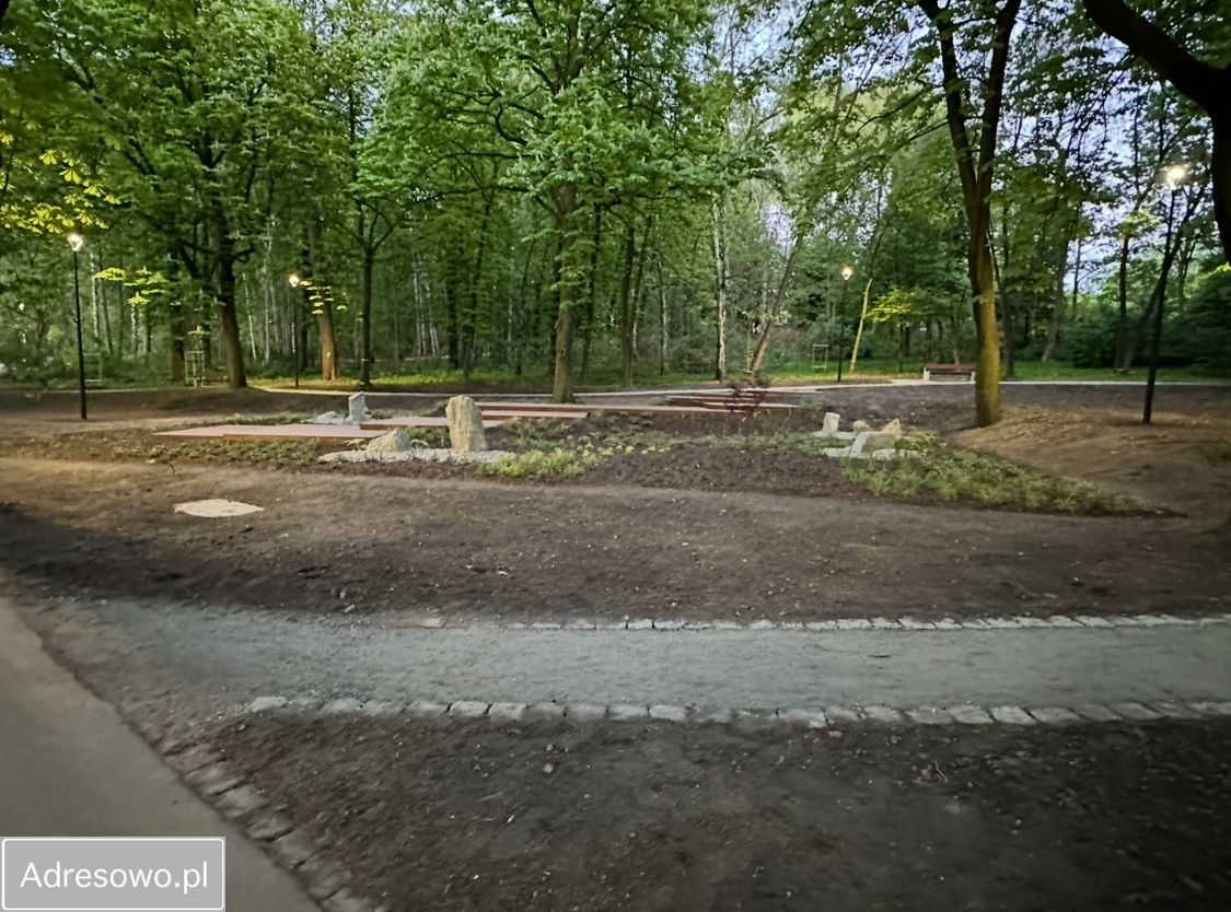 Mieszkanie 4-pokojowe Katowice Śródmieście, ul. Jesionowa. Zdjęcie 5