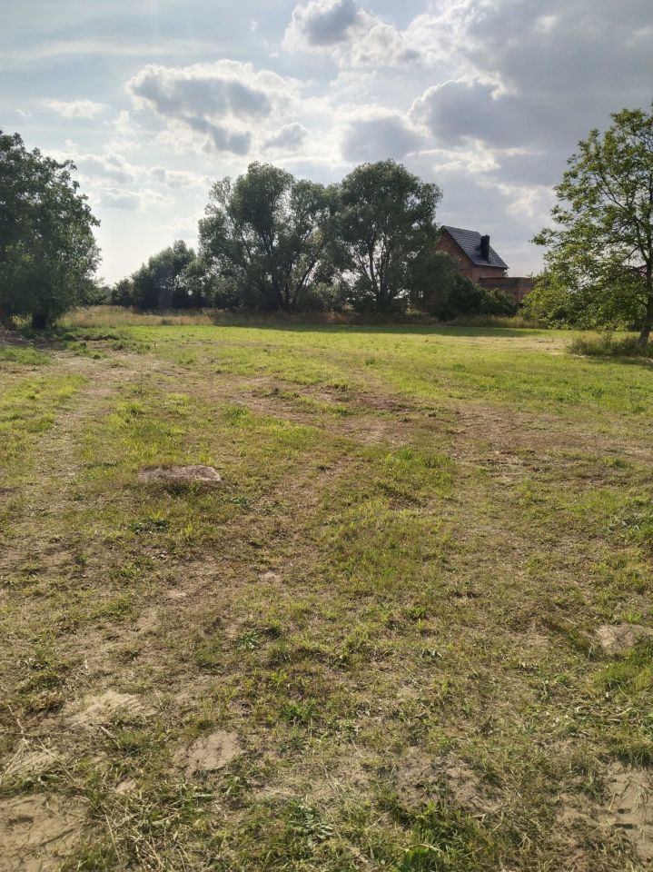 Działka budowlana Sądzia. Zdjęcie 2