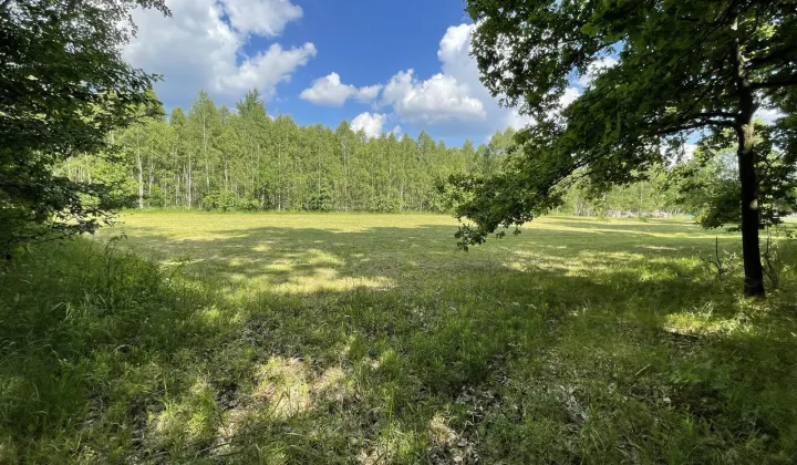 Działka budowlana Sadek, ul. Jesionowa