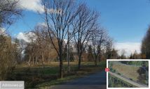 Działka budowlana Skoków. Zdjęcie 2