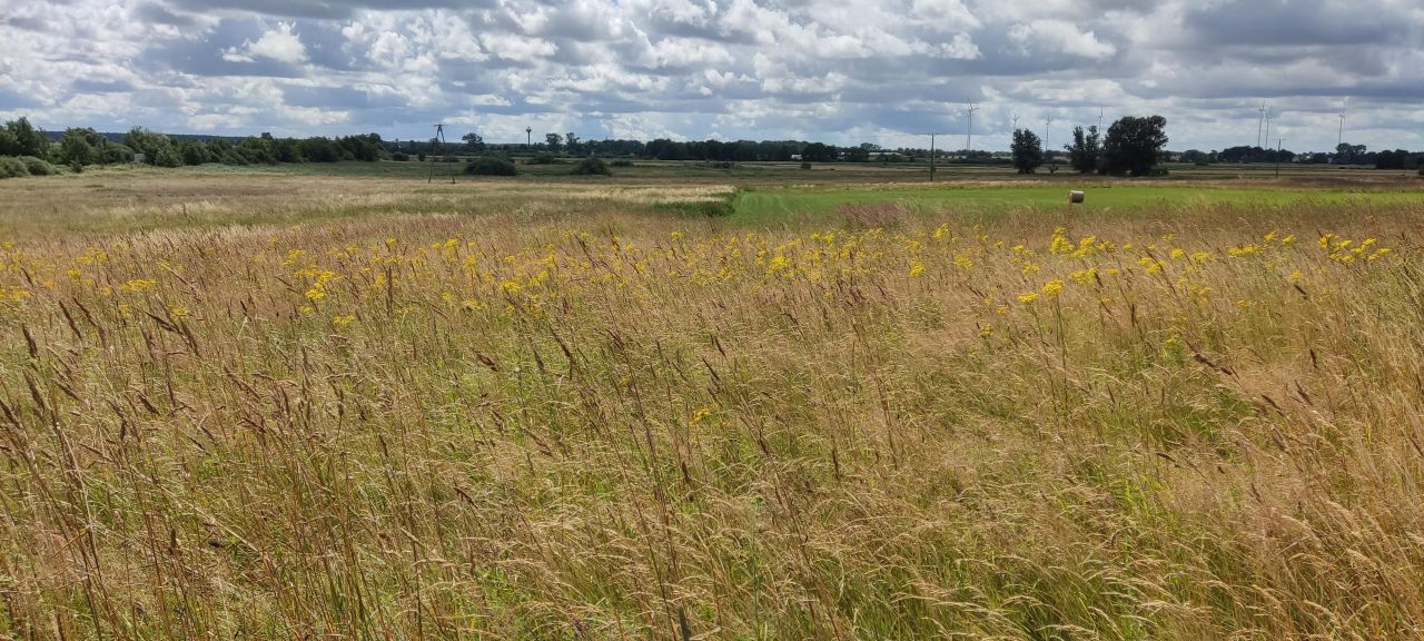 Działka budowlana Pobierowo, ul. Wojska Polskiego. Zdjęcie 13