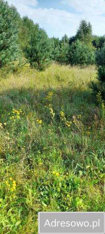 Działka rolna Urowo Murawki. Zdjęcie 1