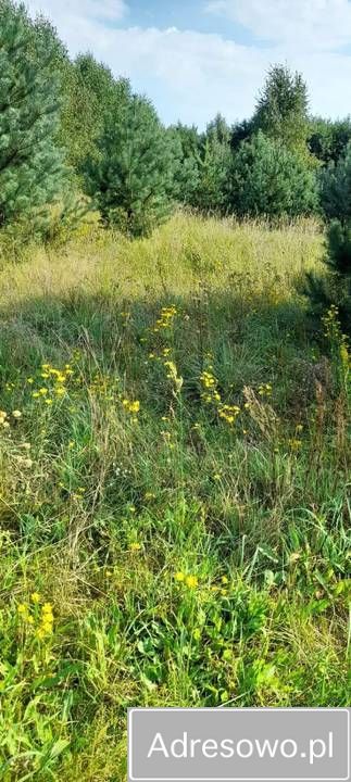 Działka rolna Urowo Murawki