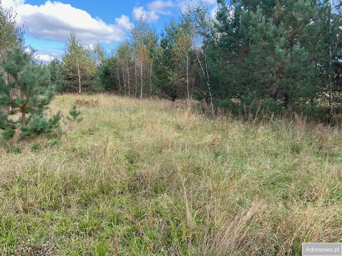 Działka inwestycyjna Bożepole Małe. Zdjęcie 3