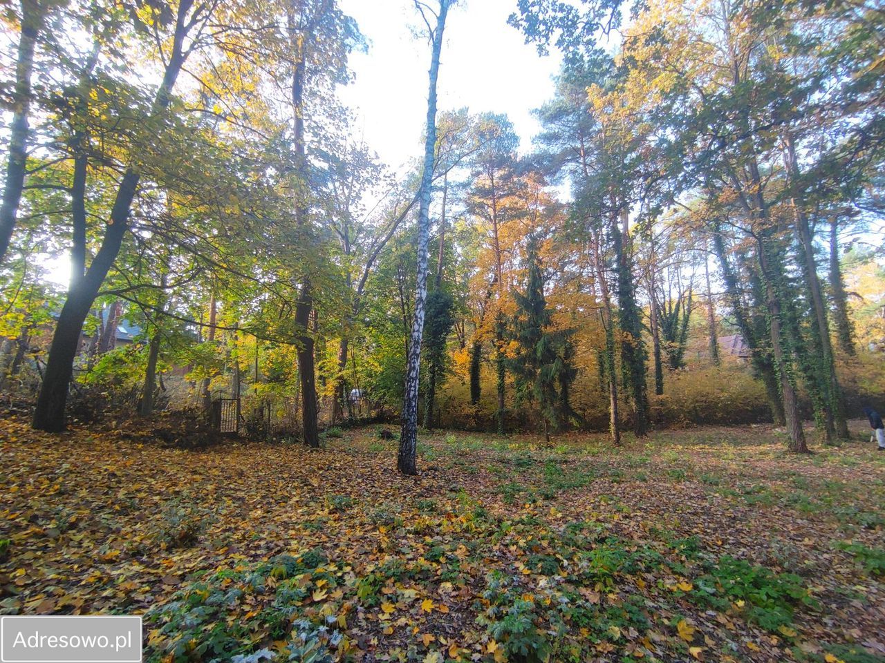 Działka budowlana Łomianki Łomianki-Dąbrowa, ul. Łyżwiarska. Zdjęcie 7