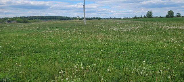 Działka budowlana Radzymin, ul. Wincentego Witosa. Zdjęcie 1