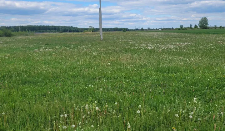 Działka budowlana Radzymin, ul. Wincentego Witosa