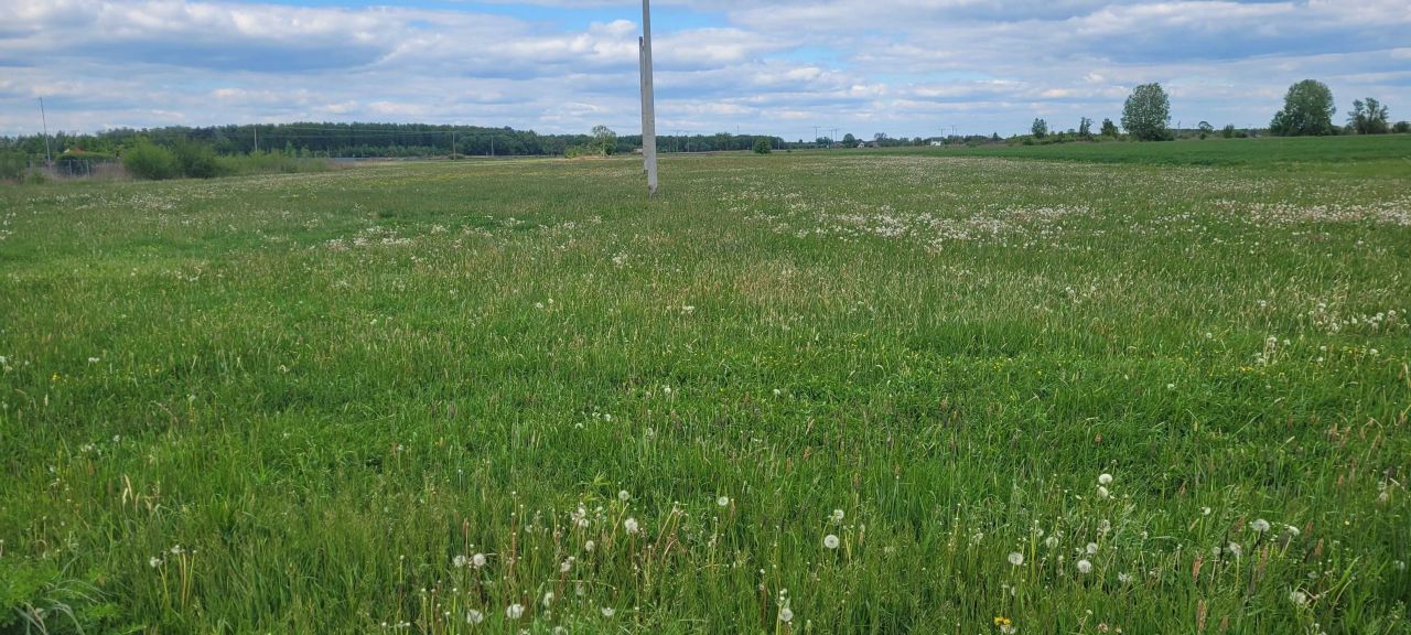 Działka budowlana Radzymin, ul. Wincentego Witosa