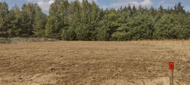 Działka rolna Bagienice Przątalina. Zdjęcie 1