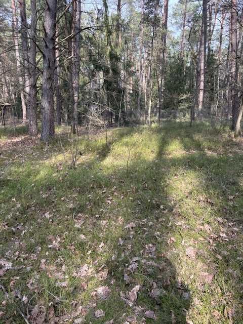 Działka leśna Osiedle Wilga, ul. Jodłowa. Zdjęcie 2