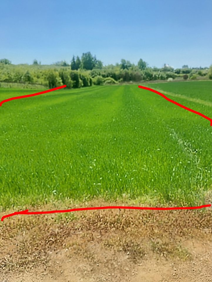 Działka budowlana Sandomierz, ul. Lipowa. Zdjęcie 6