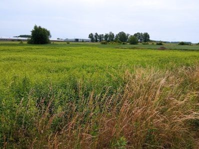 Działka budowlana Międzybórz, ul. Kolejowa. Zdjęcie 1