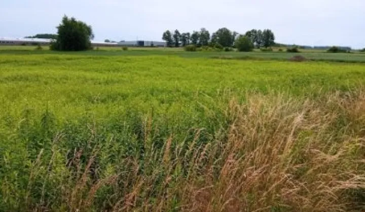 Działka budowlana Międzybórz, ul. Kolejowa