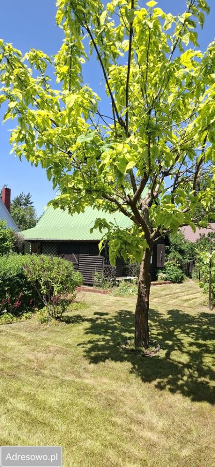 Działka rod Krępa. Zdjęcie 2