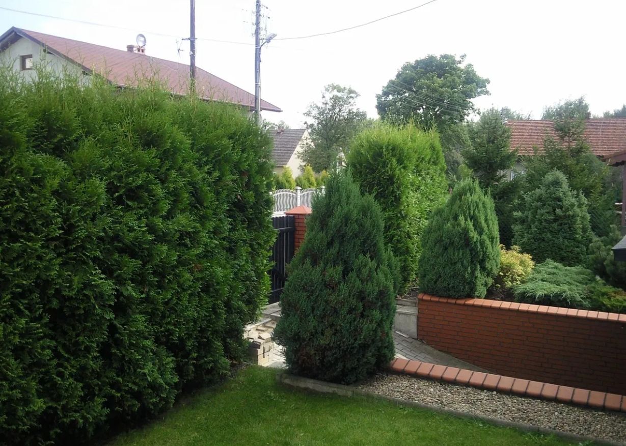 dom wolnostojący, 4 pokoje Tworóg, ul. Polna. Zdjęcie 9