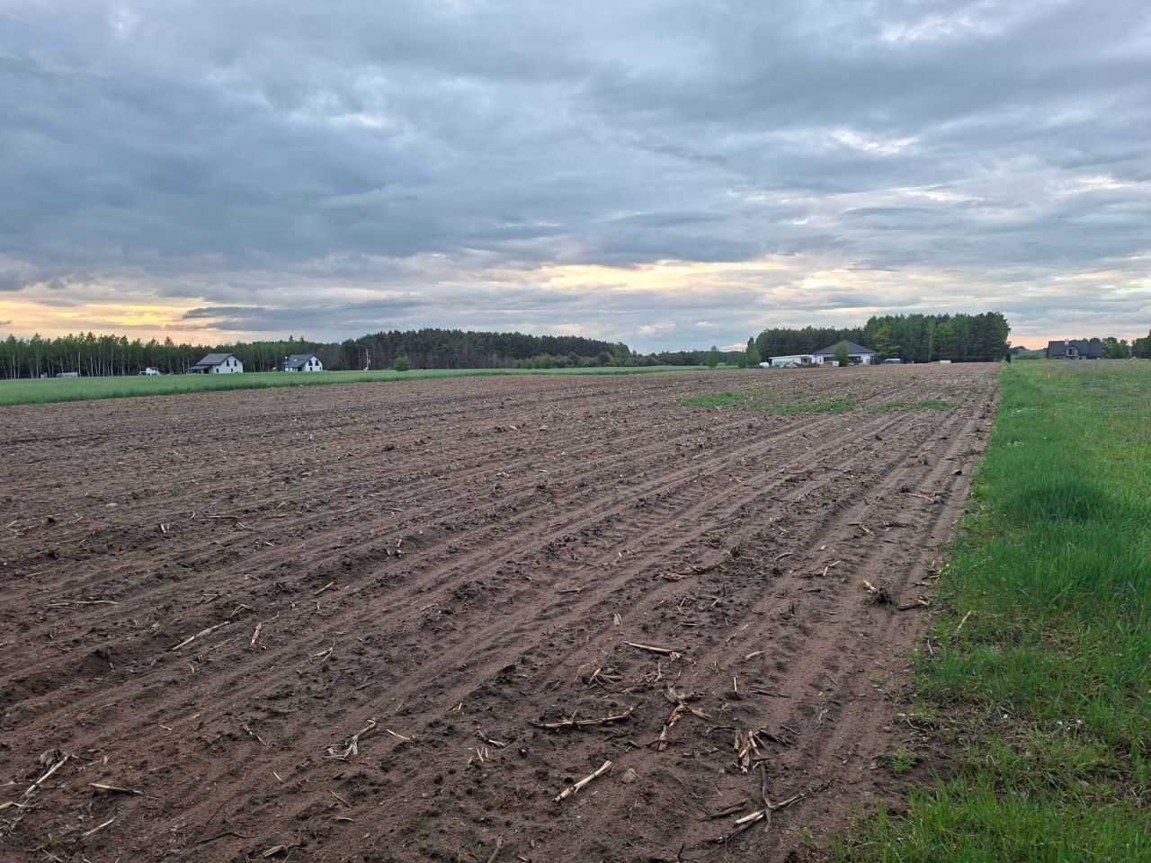 Działka budowlana Mierzyn. Zdjęcie 5
