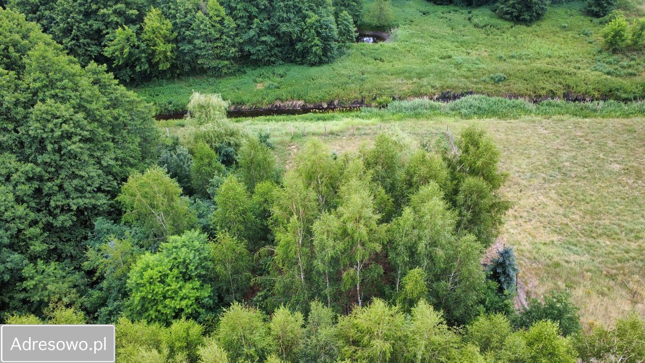 Działka rolno-budowlana Ruda. Zdjęcie 11