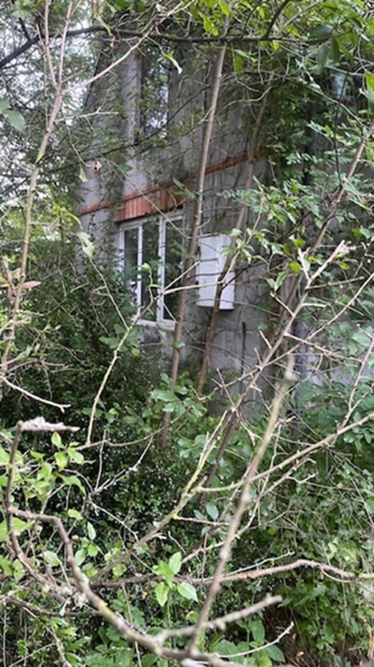 Działka siedliskowa Adampol. Zdjęcie 3