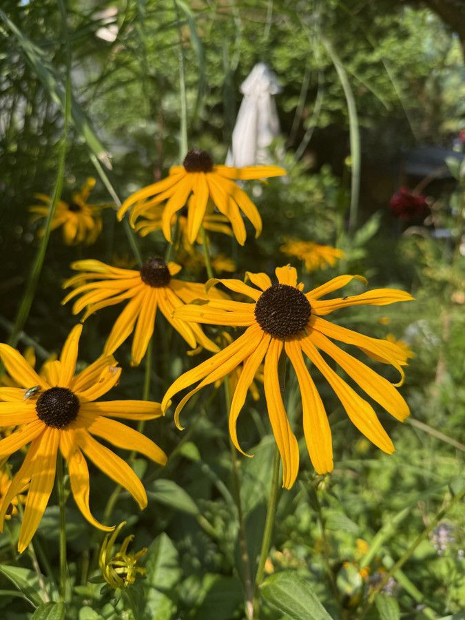 Działka rod Prawda. Zdjęcie 12