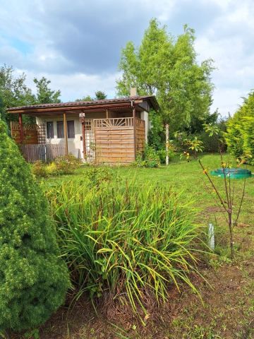 Działka rod Zielona Góra Jędrzychów, ul. Zbożowa. Zdjęcie 1