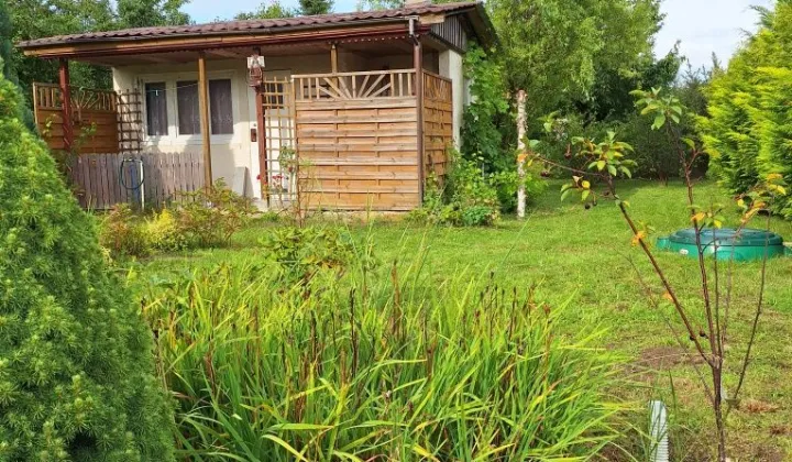 Działka rod Zielona Góra Jędrzychów, ul. Zbożowa