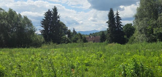 Działka budowlana Jelenia Góra Maciejowa, ul. Trzcińska ul.Wrocławska. Zdjęcie 1