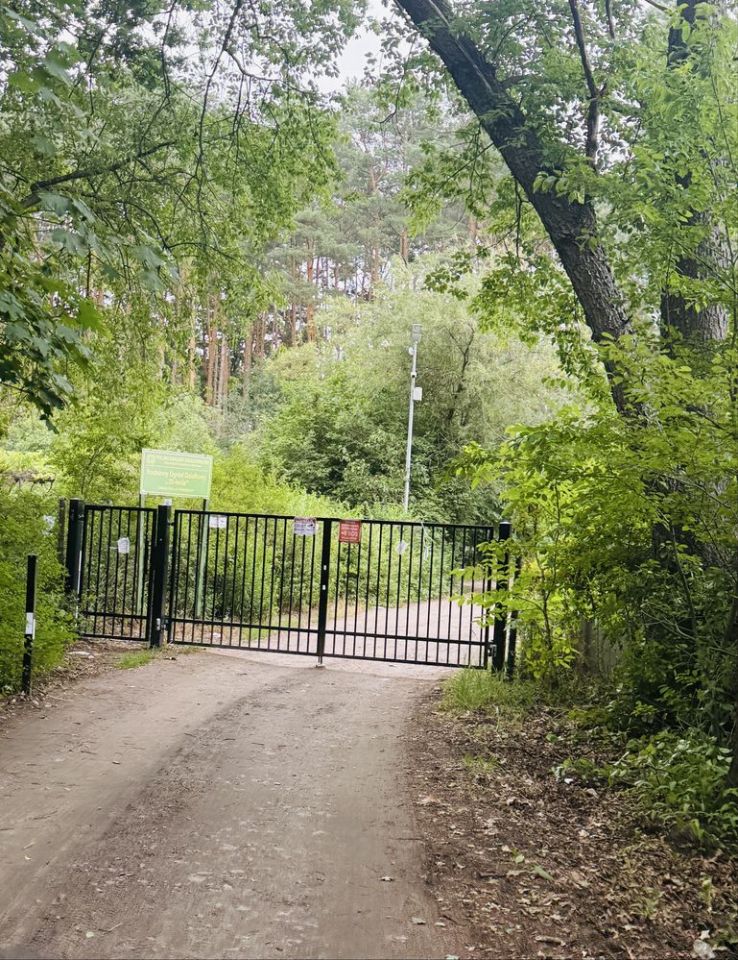 Działka rod Zielona Góra. Zdjęcie 6