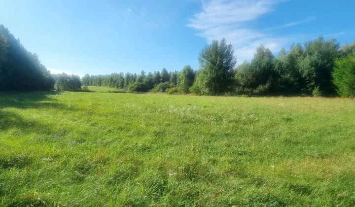 Działka budowlana Śladków Duży