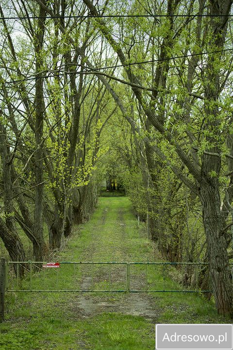 dom wolnostojący Sobolewo, szosa Baranowicka. Zdjęcie 3