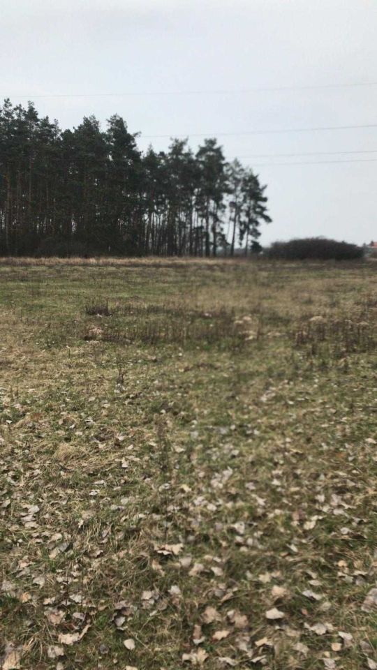 Działka budowlana Sosnówka. Zdjęcie 2