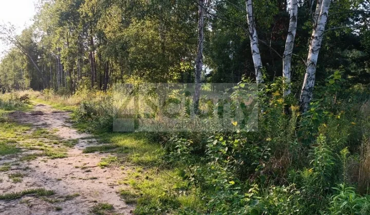 Działka budowlana Czarny Las