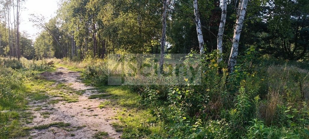 Działka budowlana Czarny Las