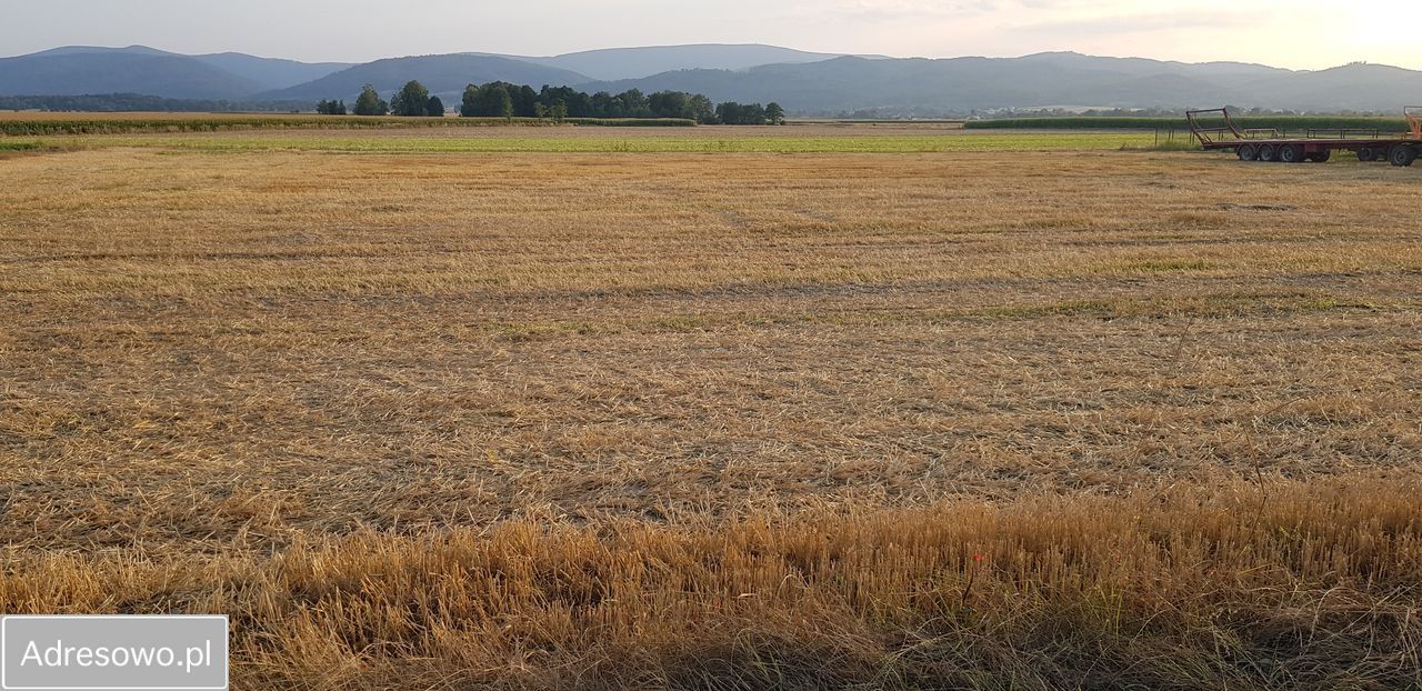 Działka siedliskowa Pieszyce Bratoszów. Zdjęcie 11